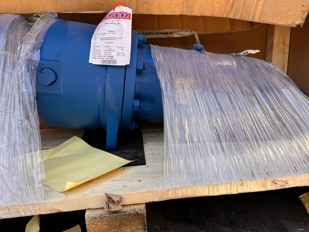 Leser Safety Valve 5262.5812